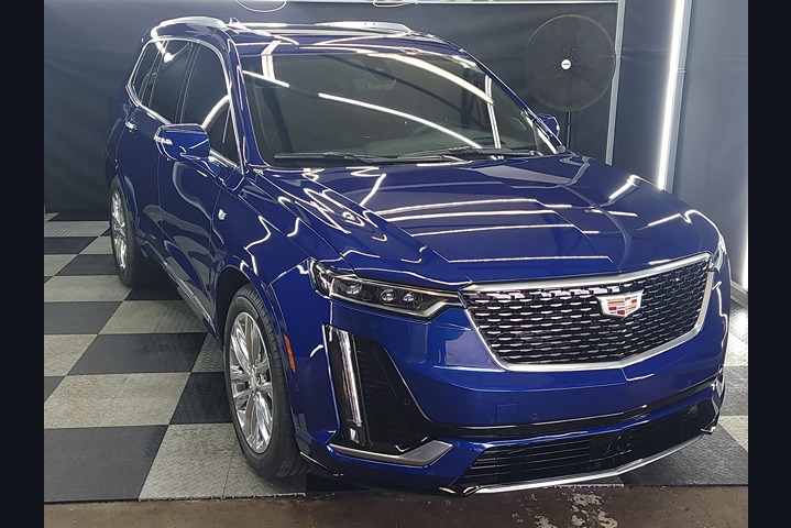 professional auto detailing by solomons clean dreams auto detailing (14)